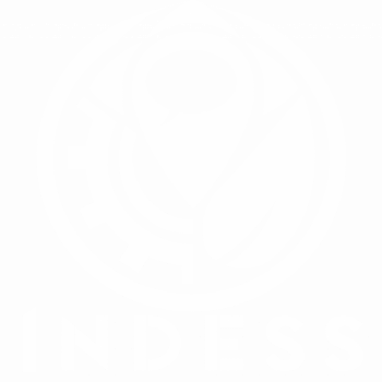 Instituto-para-el-Desarrollo-Social-Sostenible-LOGO-04(2)